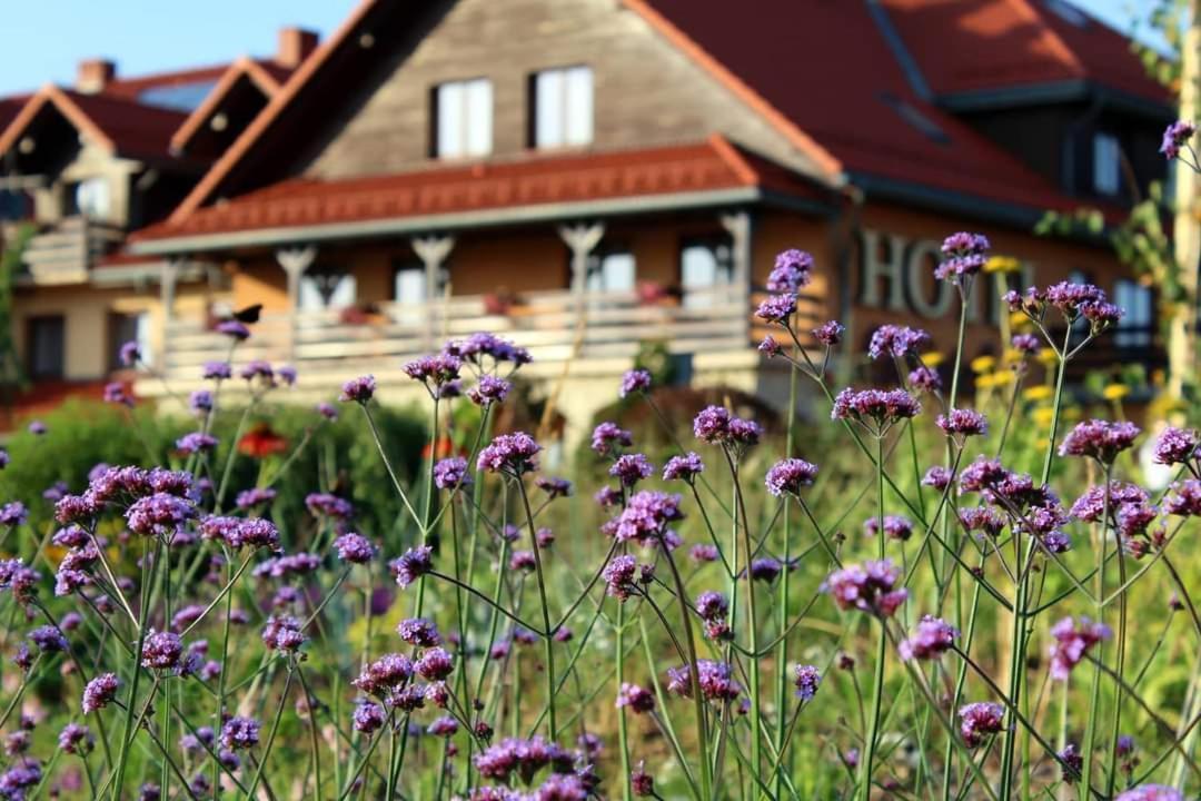 Hotel Lokietek Чайовіце Екстер'єр фото